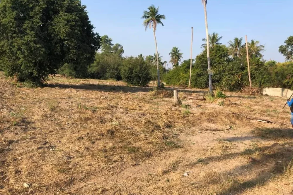 421145388_122139767792076179_4130444497780731930_n_11zon