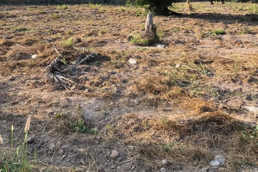 421190709_122139768824076179_3157383569528690672_n_11zon