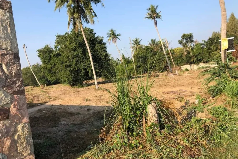 421626116_122139768836076179_2686034003563036692_n_11zon