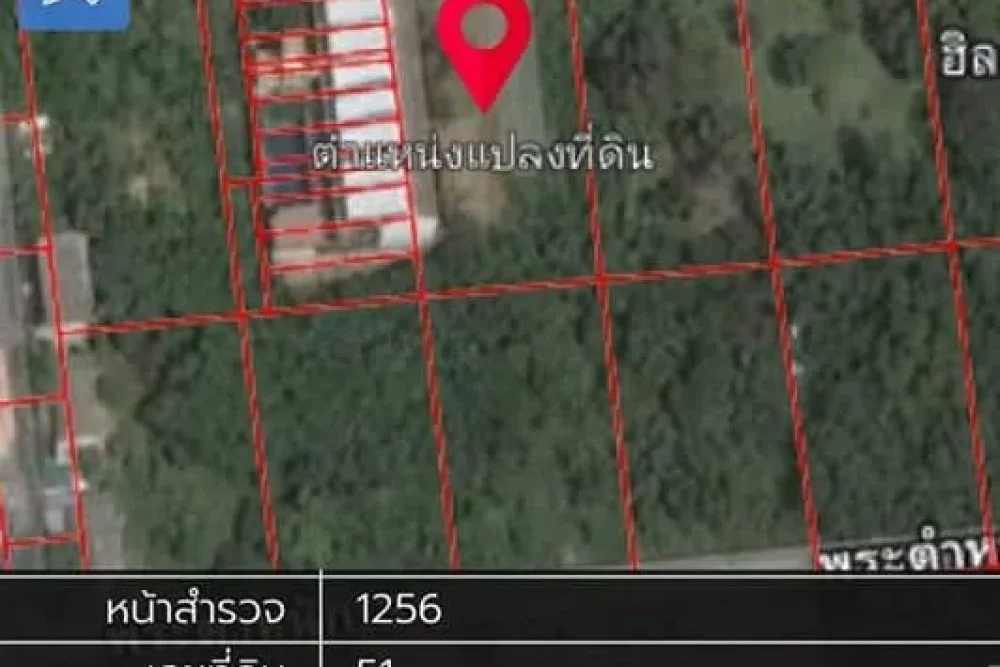 426442639_122145609458076179_291608718061819685_n_1_11zon