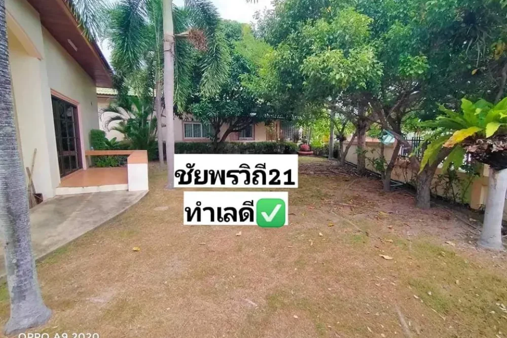 440096510_122163167900076179_6570225965936221832_n