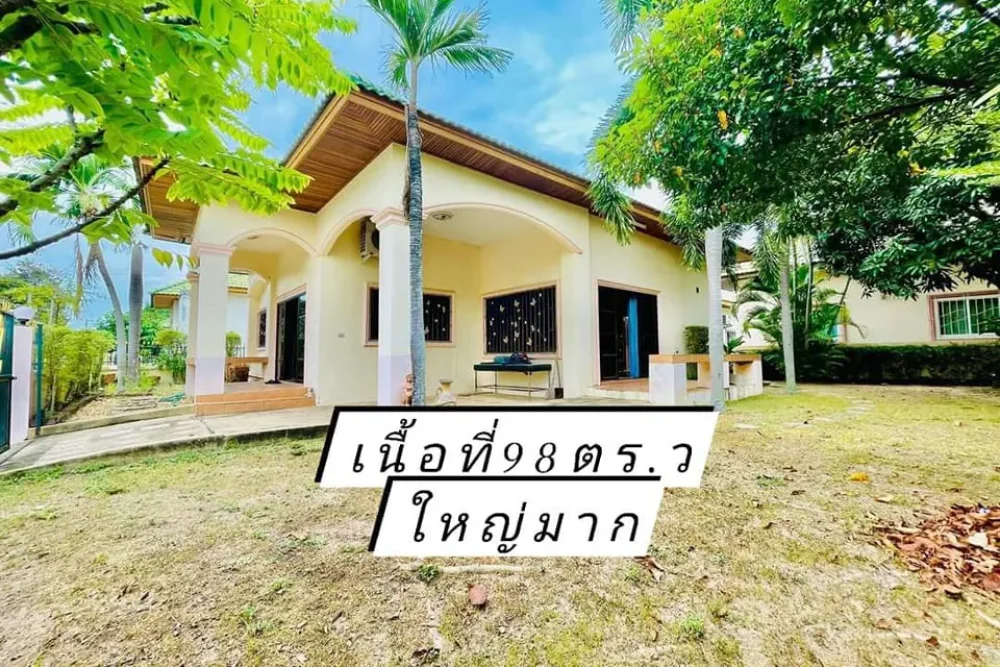 440244564_122163167864076179_5429742423381917430_n