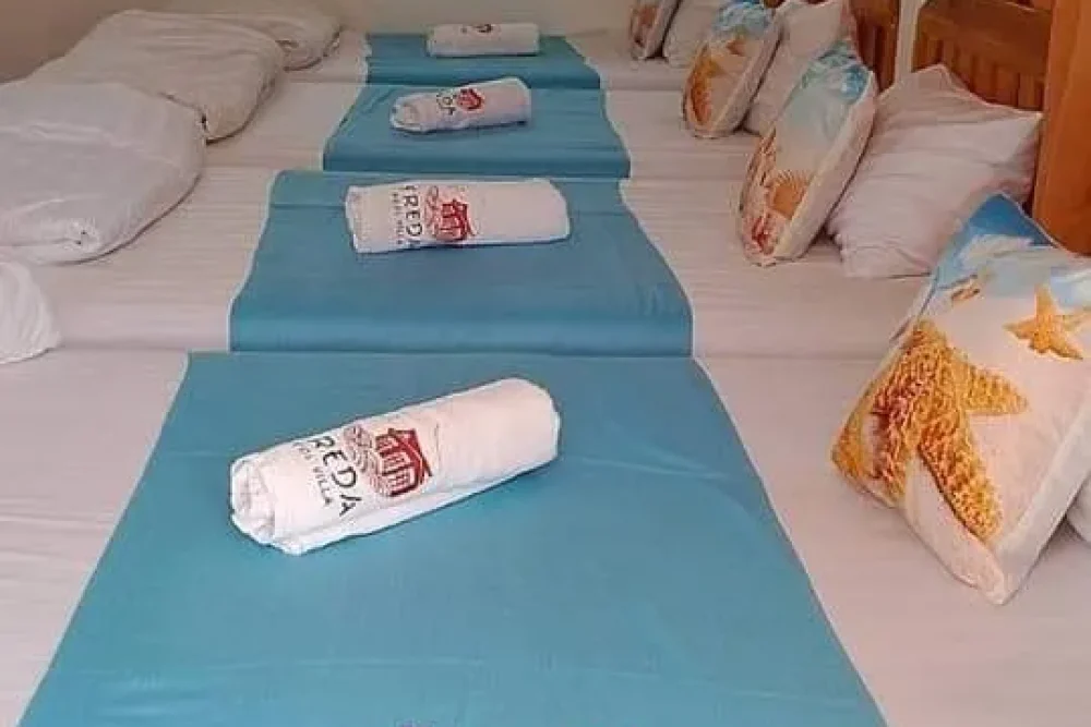 459681354_122192781782076179_3863163148103880038_n_11zon