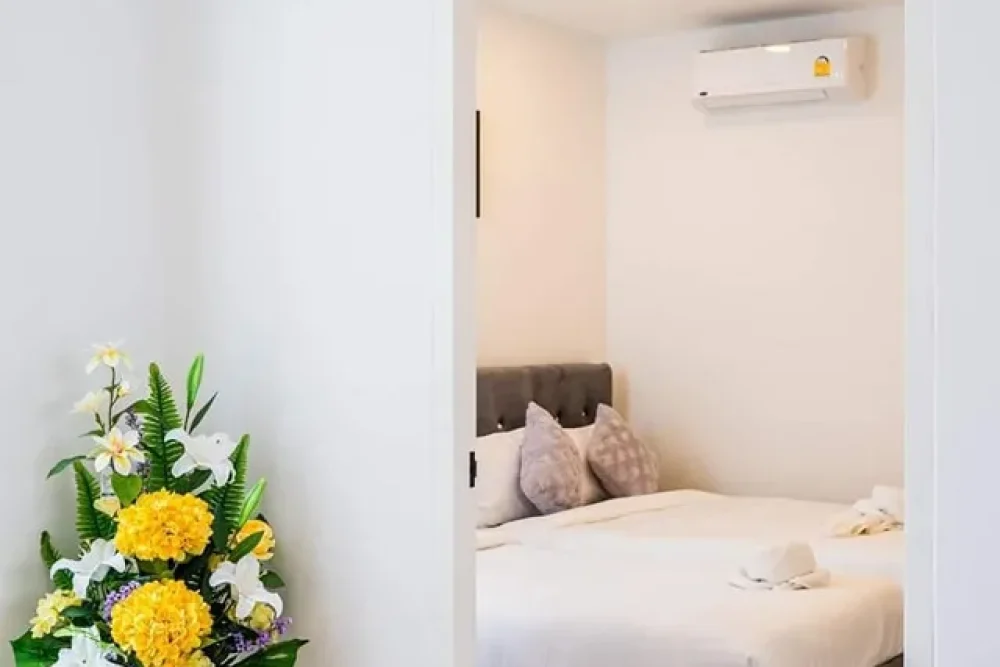 460523834_122193748016076179_5239744172800720649_n_11zon