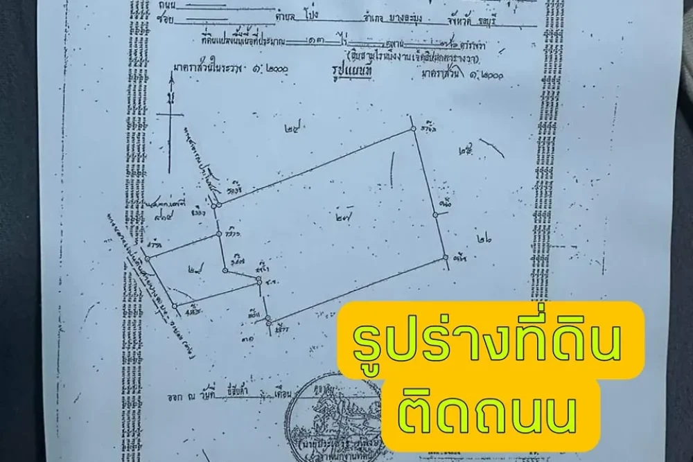 461341851_122195078882076179_8364233350781589296_n_11zon