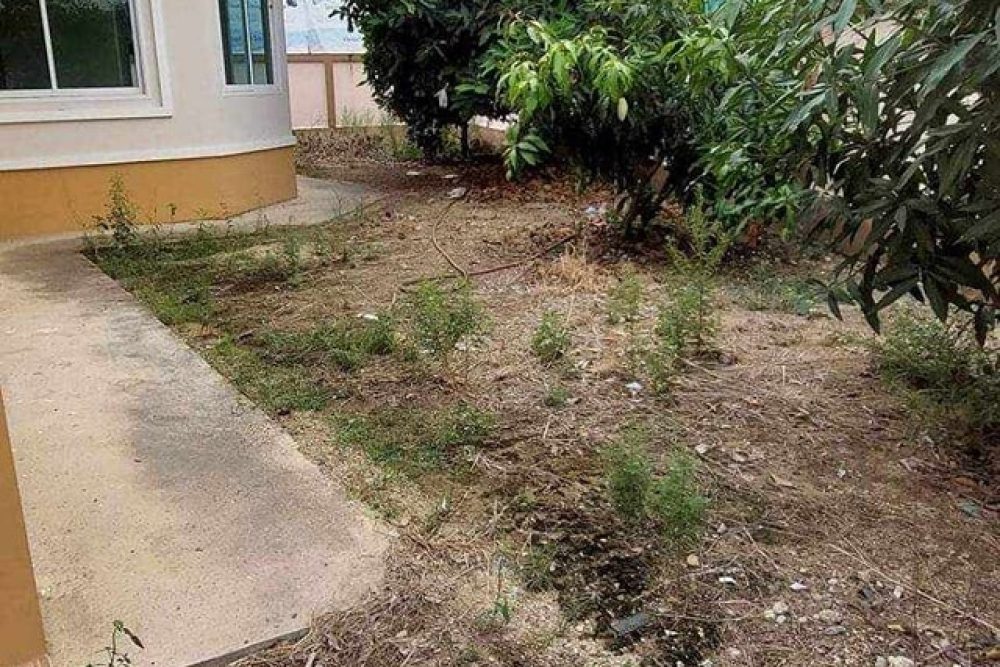 487867235_122231325710076179_8511584746358752083_n