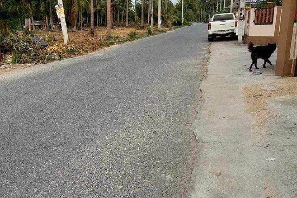 489024482_122231325980076179_4750529957080156448_n