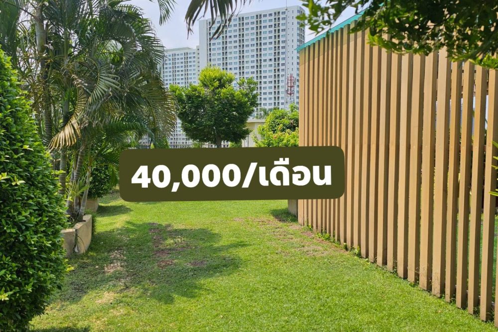 489769047_122217328970227236_1796643118799273599_n