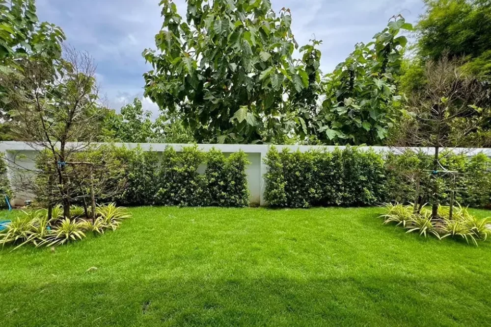 AnyConv.com__460972084_122194281968076179_5046077682545382025_n