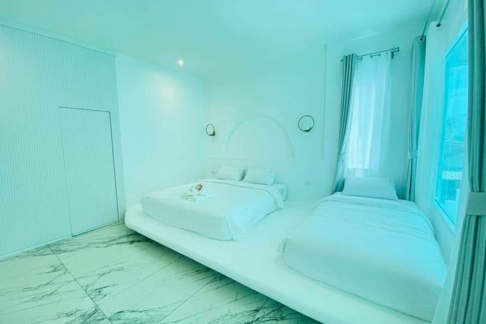 snapedit_1732165420812